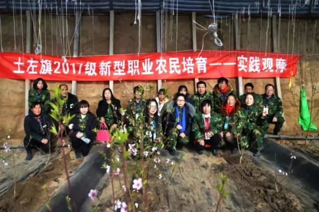 脱贫攻坚“她”力量——大棚“四季青”,种出致富路