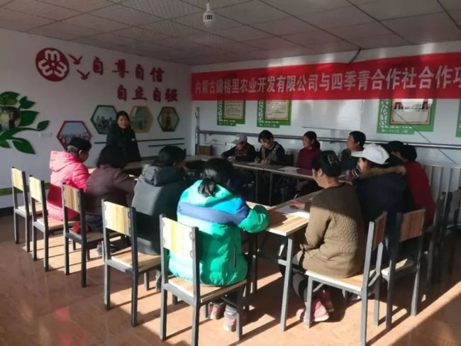 脱贫攻坚“她”力量——大棚“四季青”,种出致富路